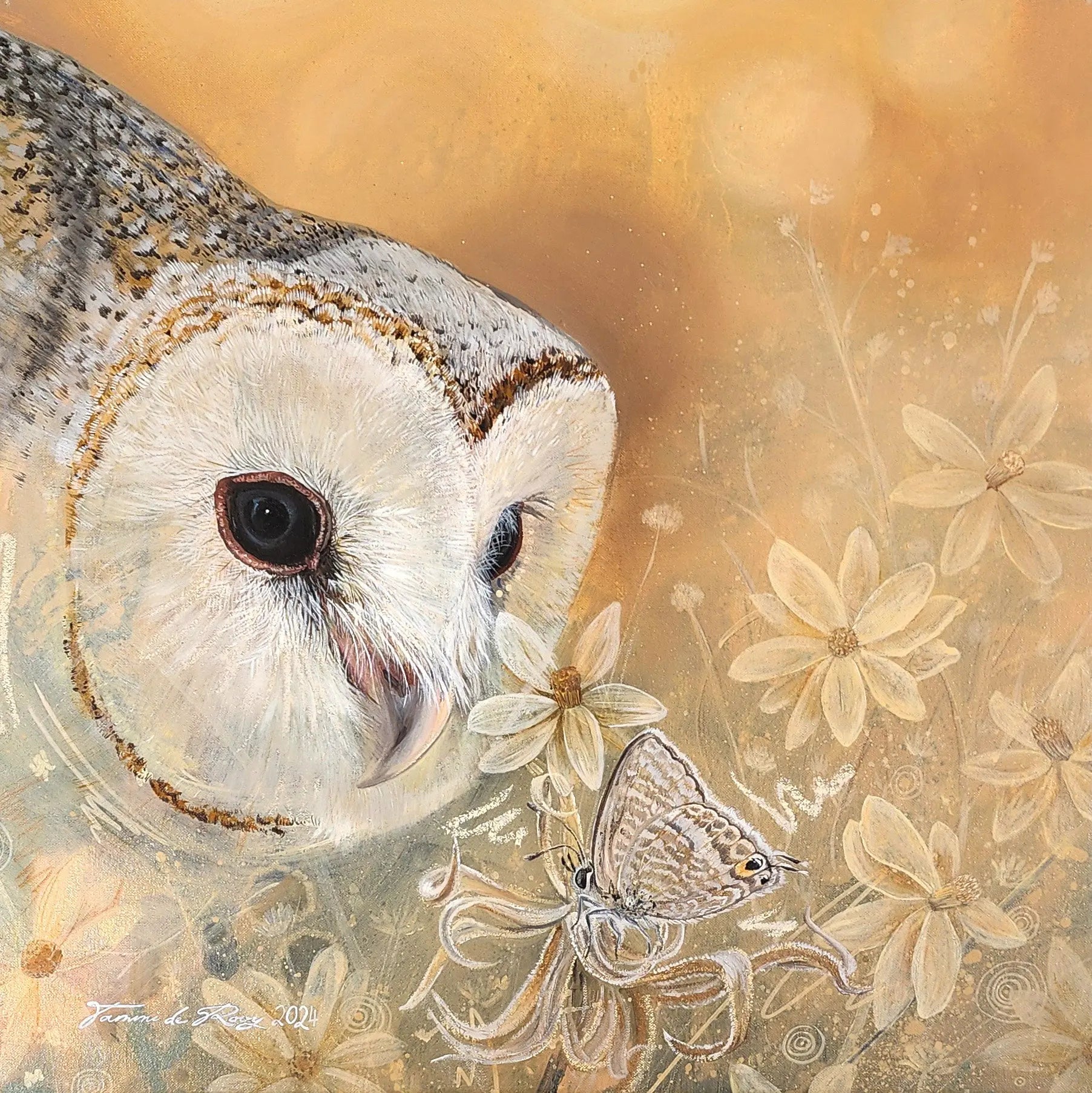 Just Observe - Image