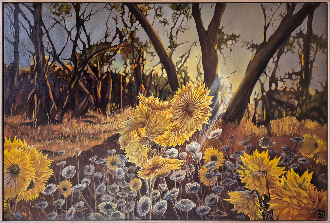 Daily Display Of Wonder