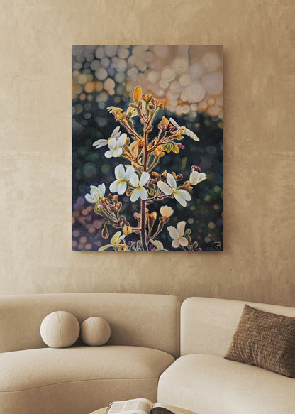 Highlighted By The Dawn Prints