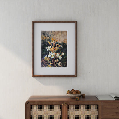 Highlighted By The Dawn Prints