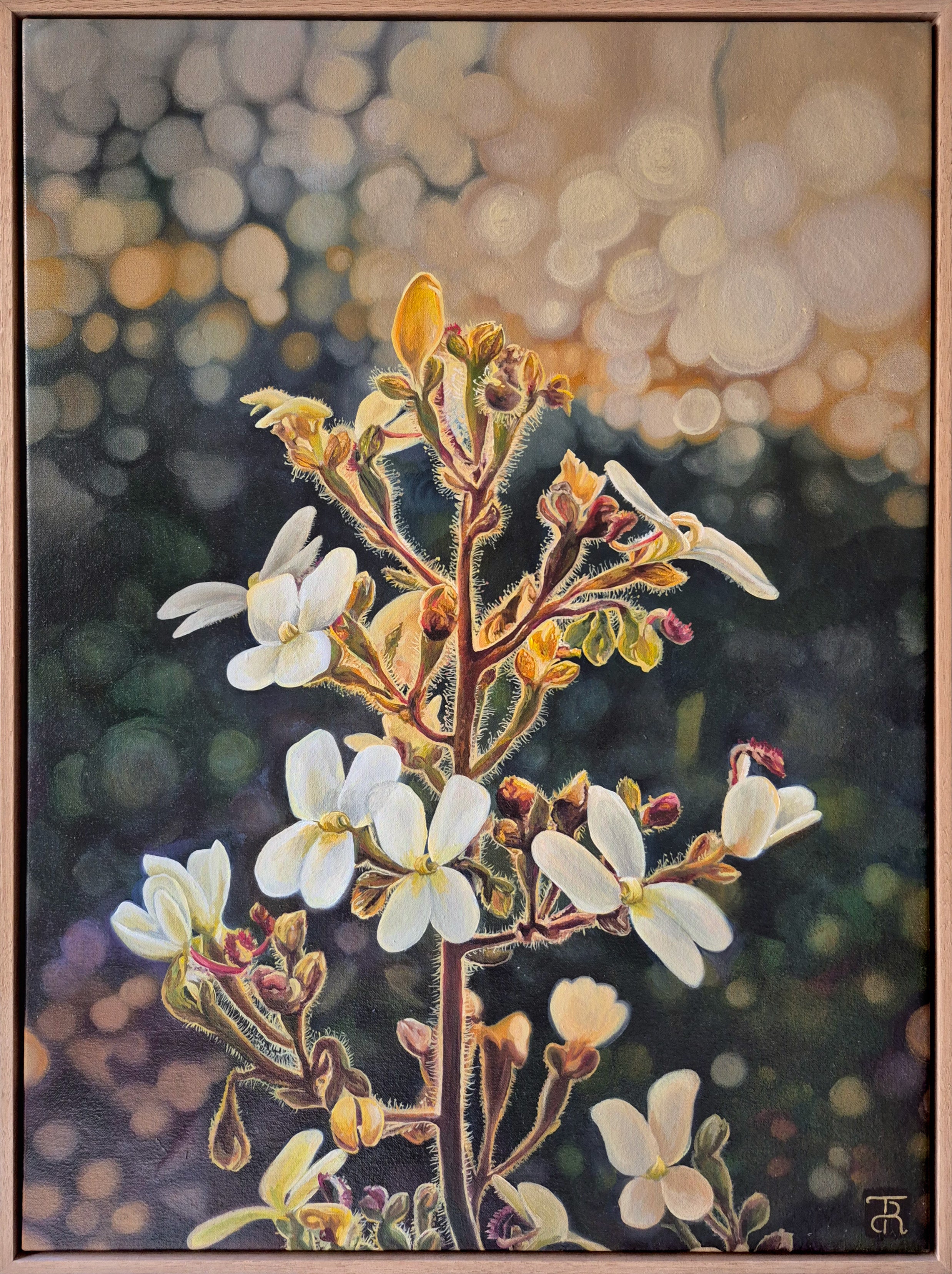 Highlighted By The Dawn