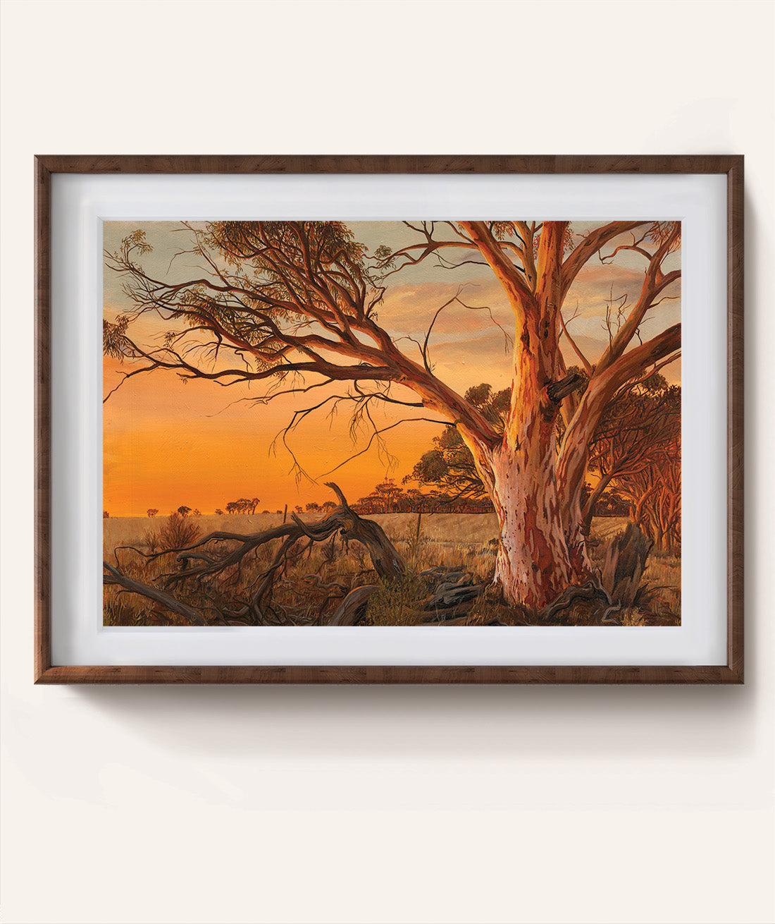 Quiet Hush of Morning Light Prints