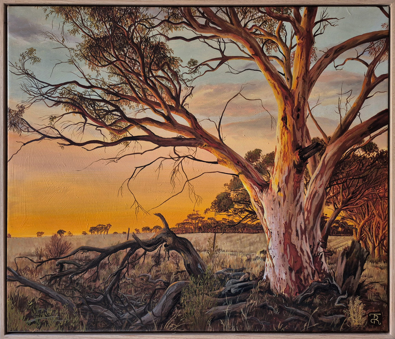 Quiet Hush Of Morning Light